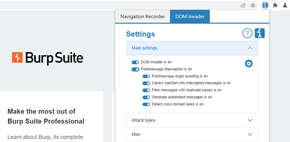 Enabling web message interception