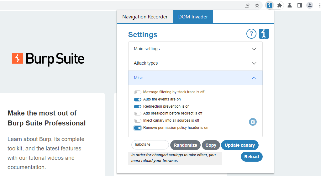 Miscellaneous DOM Invader settings