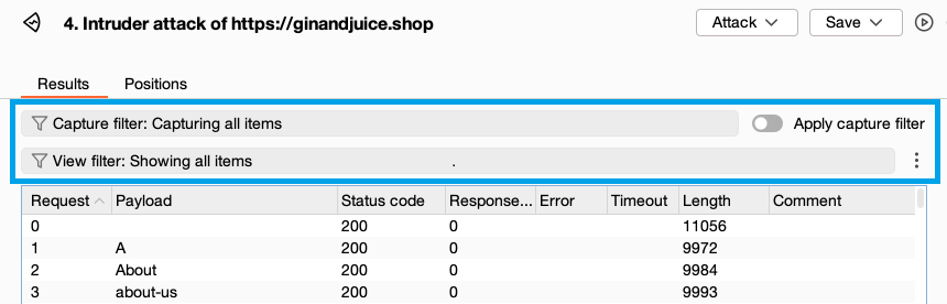 Intruder filter bars