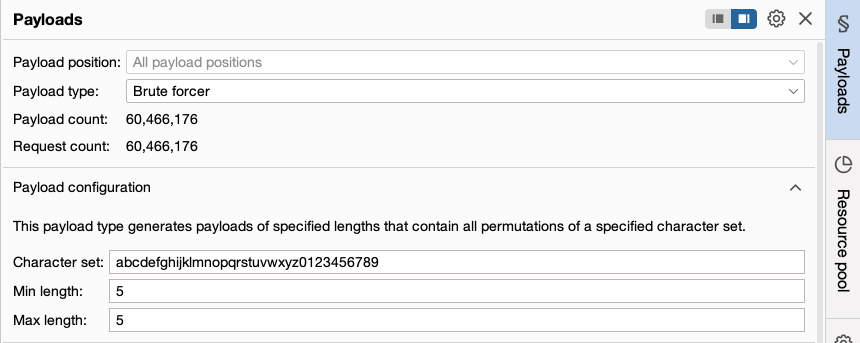 Configuring payloads for the brute-forcer payload type