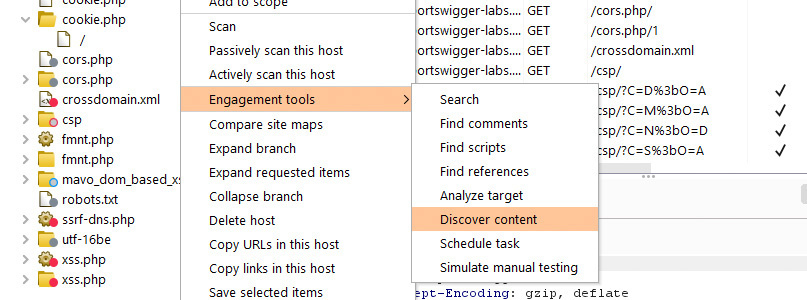 Burp Suite Pro discover content function