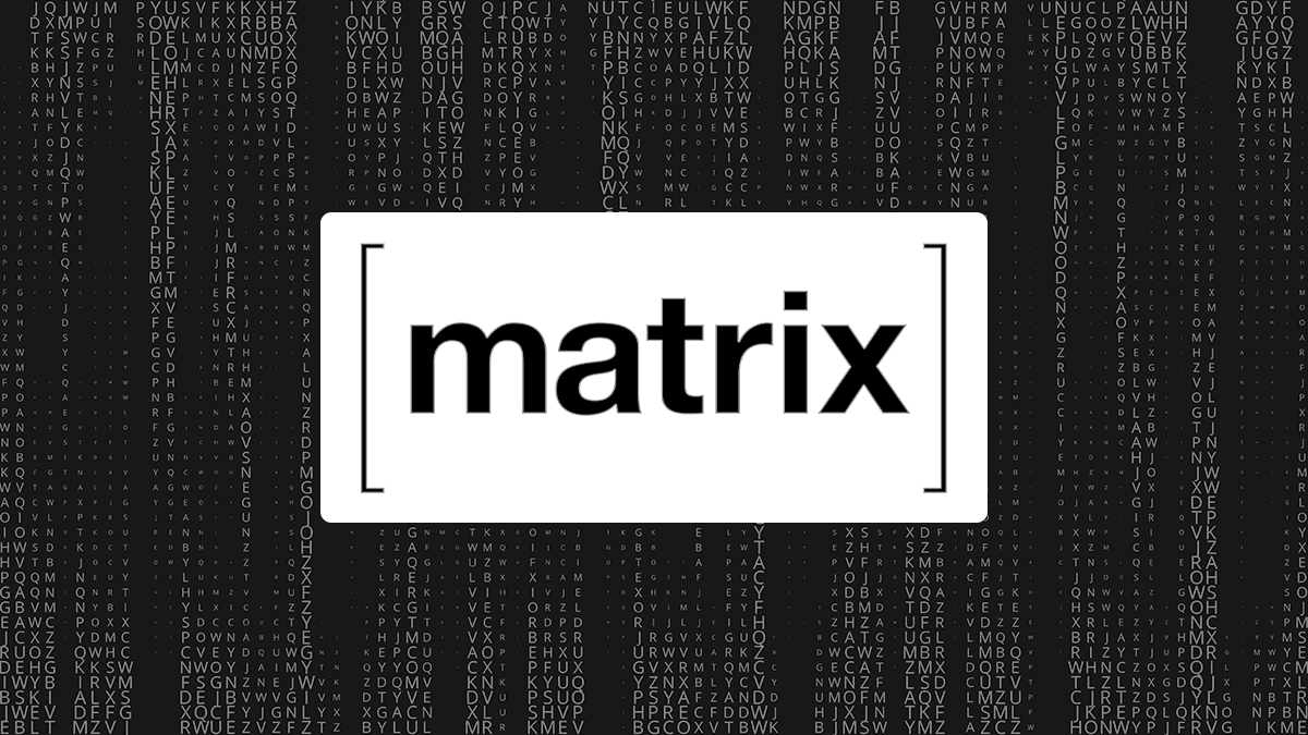 As the Matrix network hits 30 million user milestone, The Daily Swig caught up with its co-founders to find out how the project is developing