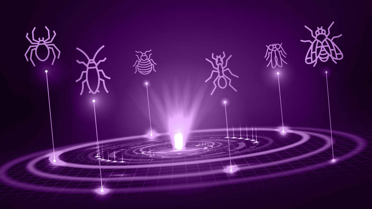 Bug Bounty Radar - the latest bug bounty programs for November 2022